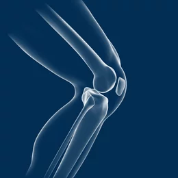 Medizinische 3D-Illustration eines menschlichen Kniegelenks in der Seitenansicht zur Visualisierung von Gelenkbeschwerden in der Physiotherapie.