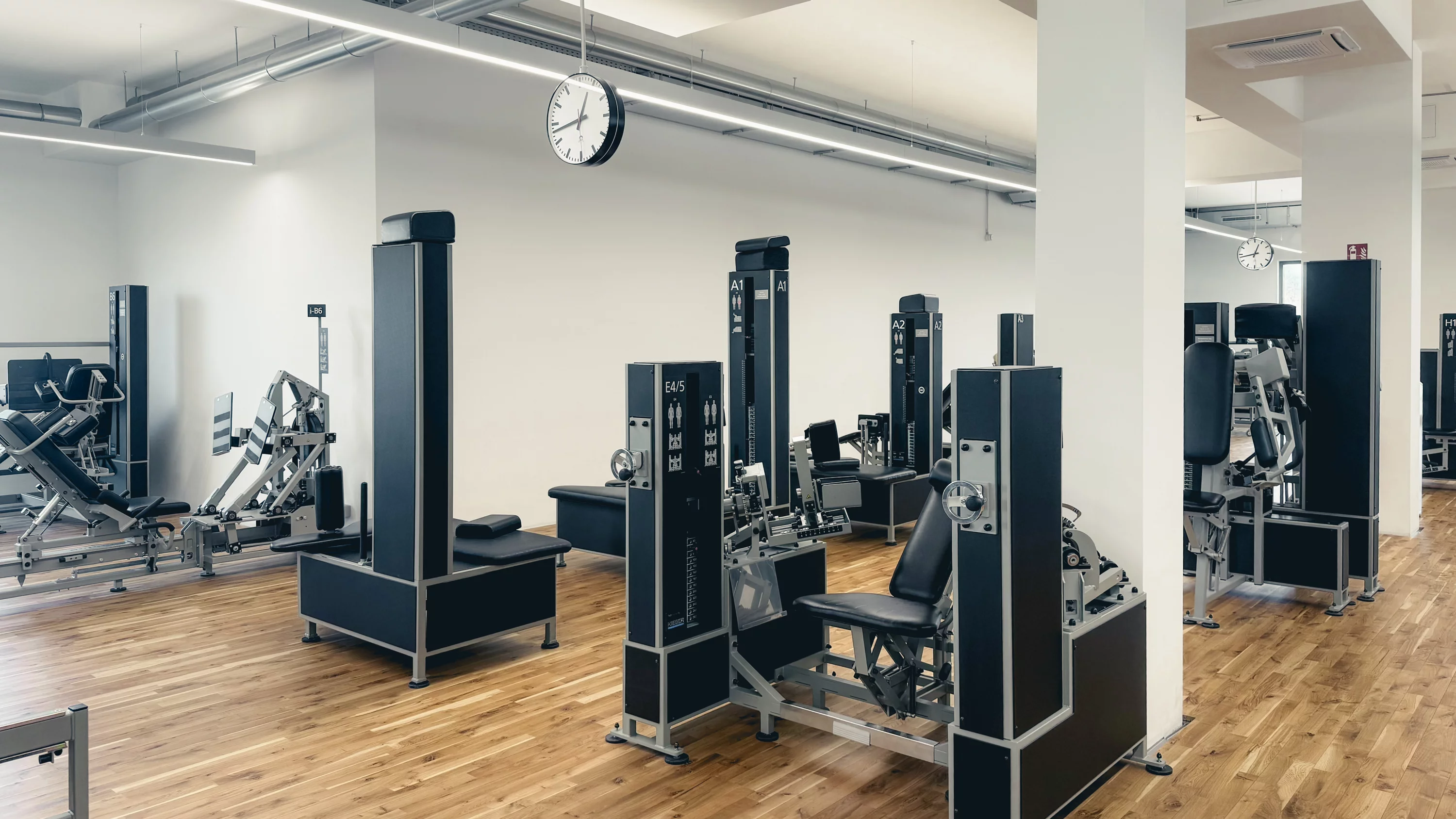 Studiobild Kieser Potsdam-Nedlitz